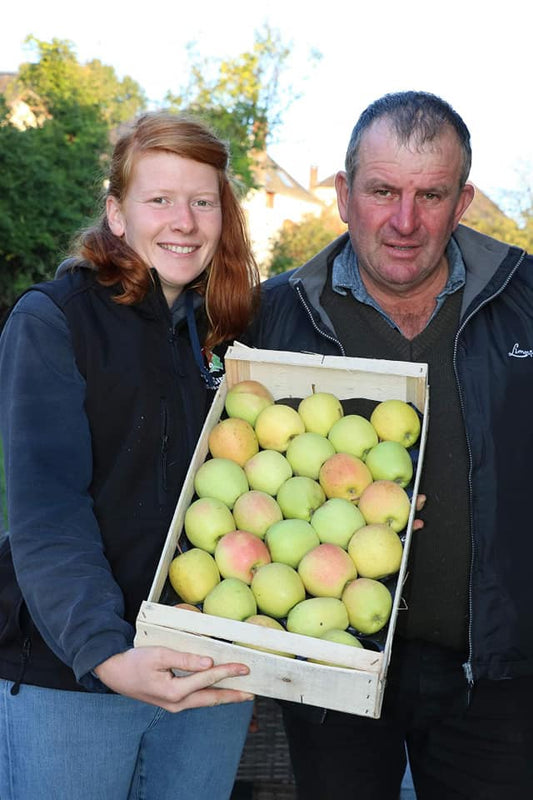 Pommes différentes variétés au choix RETRAIT A LA FERME