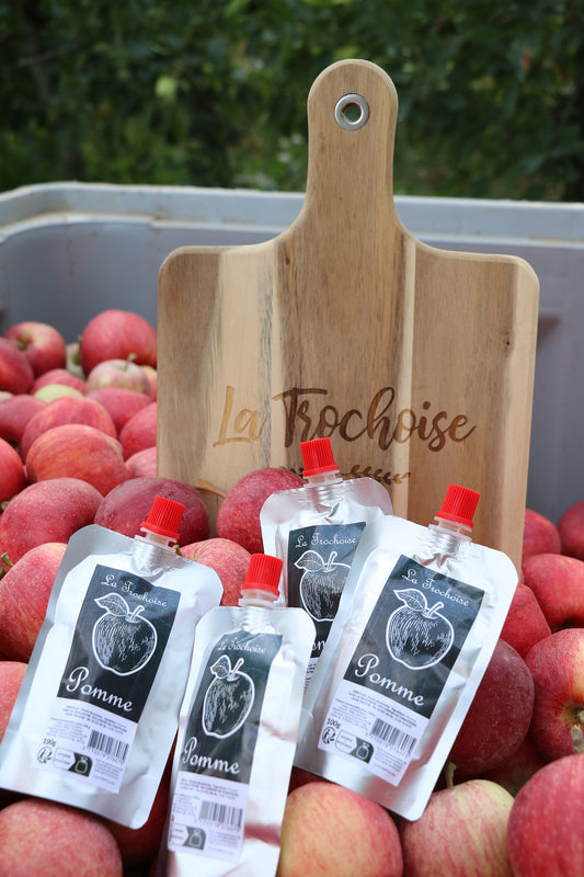 8 Gourdes de purée de pommes 100g - Origine Corrèze